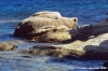 mikonos696_07