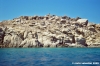 mikonos_paraga695_04