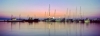 naxos22_329