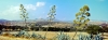 naxos24_115