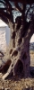 naxos24_404