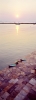 naxos25_410