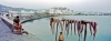 naxos25_532