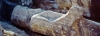 naxos26_502