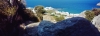 naxos26_636