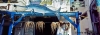naxos29_529