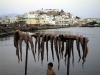 naxos6_000826