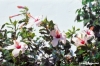 patmos1219_46