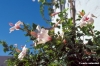 patmos1219_47