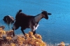 patmos1220_02