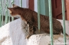 patmos1221_07