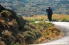 patmos1221_33