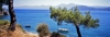 samos03_429