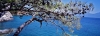samos03_618