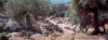 skiros53_234