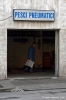bologna_pesci_pneumatici