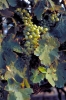 IMG0024_0186
