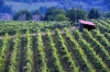 IMG0068_0186