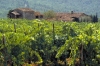 IMG0076_0186