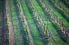 IMG0093_0186