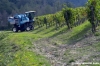 chianti_albola24