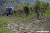 chianti_albola25