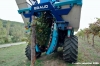 chianti_albola36