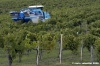 chianti_albola45
