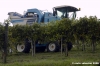 chianti_albola47