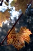 mercatale23_021027