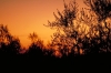 IMG0009_0186
