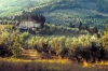 IMG0010_0186