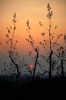 IMG0023_0186