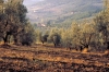 IMG0049_0186