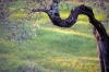 IMG0055_0186