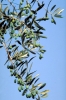 IMG0089_0186