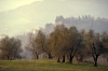 IMG0099_0186
