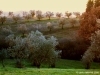 castel_ruggero2