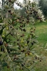 mercatale17_021027