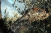 mercatale24_021027