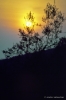 olivi202_18