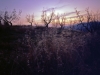 pontassieve850630b45