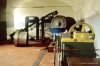 raccolta_olive200_23