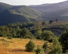 santa_brigida850807a45