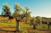 valdera661_39