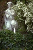 giardino_boboli53_13