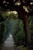 boboli758_36