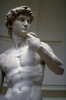 david_michelangelo442_28