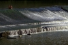 arno673_32