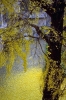 PCD0338_064